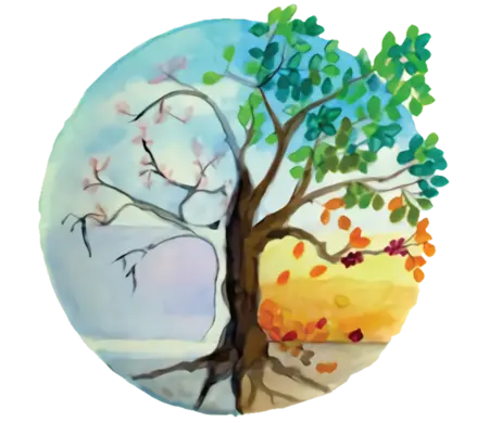 Shiatsu Cardiff logo showing a tree symbolizing five elements: winter, spring, summer, late summer and autumn.
